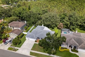 18545 BITTERN AVENUE, LUTZ, FL 33558 Sold 09/26/25