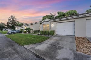 8406 TERRACE MEADOWS COURT, TEMPLE TERRACE, FL 33637 - MLS#MFRTB8411359