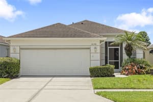 26346 Whirlaway Ter, WESLEY CHAPEL