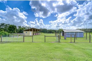 201 MOCCASIN HOLLOW ROAD, LITHIA, FL 33547 - MLS#MFRTB8411380