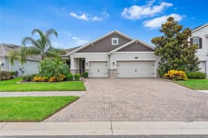 18208 Roseate Dr, LUTZ