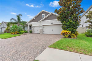 18208 ROSEATE DRIVE, LUTZ, FL 33558 - MLS#MFRTB8411386