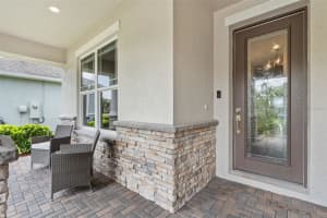 18208 ROSEATE DRIVE, LUTZ, FL 33558 - MLS#MFRTB8411386