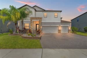 7999 Lago Mist Way, WESLEY CHAPEL