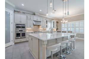 21842 PRISTINE LAKE BOULEVARD, LAND O LAKES, FL 34637 - MLS#MFRTB8411401