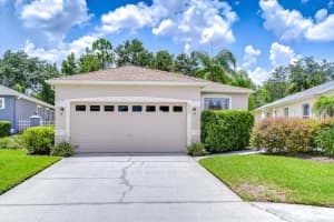 8005 Shaddock Pl, LAND O LAKES