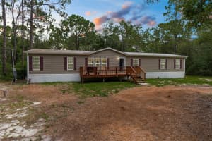 17131 DALBERG DRIVE, SPRING HILL, FL 34610 - MLS#MFRTB8411438