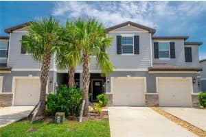 21395 DARTER ROAD, LAND O LAKES, FL 34638 - MLS#MFRTB8411457
