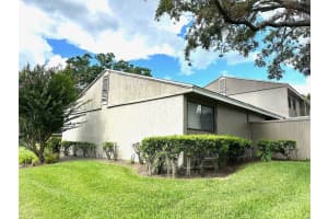 8002 HIBISCUS DRIVE, TEMPLE TERRACE, FL 33637 - MLS#MFRTB8411469
