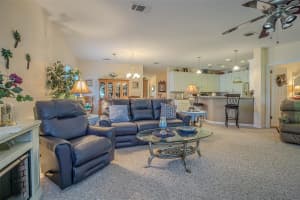 7918 KAY MARIE AVENUE, ZEPHYRHILLS, FL 33541 - MLS#MFRTB8411470