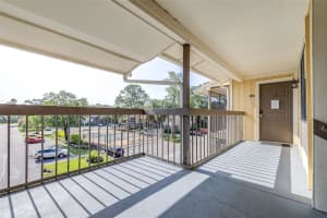 13287 ARBOR POINTE CIRCLE, TAMPA, FL 33617 - MLS#MFRTB8411483