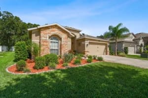 3608 GRECKO DRIVE, WESLEY CHAPEL, FL 33543 - MLS#MFRTB8411489