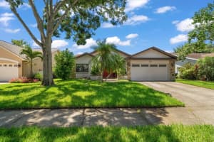 1455 Coastal Pl, DUNEDIN