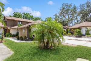 2018 Philippe Ct, SAFETY HARBOR