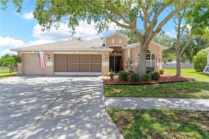6010 Candytuft Pl, LAND O LAKES