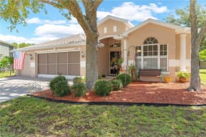 6010 CANDYTUFT PLACE, LAND O LAKES, FL 34639 - MLS#MFRTB8411537