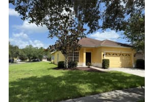 20156 Bay Cedar Ave, TAMPA