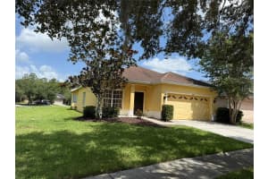 20156 BAY CEDAR AVENUE, TAMPA, FL 33647 - MLS#MFRTB8411545