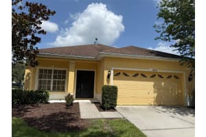 20156 BAY CEDAR AVENUE, TAMPA, FL 33647 - MLS#MFRTB8411545