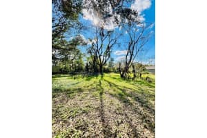 35441 FRANCINE DRIVE, ZEPHYRHILLS, FL 33541 - MLS#MFRTB8411572