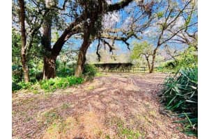 35441 FRANCINE DRIVE, ZEPHYRHILLS, FL 33541 - MLS#MFRTB8411572