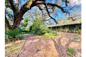 35441 FRANCINE DRIVE, ZEPHYRHILLS, FL 33541 - MLS#MFRTB8411572