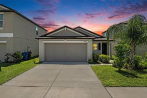 4009 Globe Thistle Dr, TAMPA