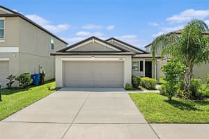 4009 GLOBE THISTLE DRIVE, TAMPA, FL 33619 - MLS#MFRTB8411592