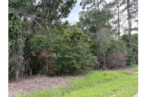 0 JEFFERSON STREET, BROOKSVILLE, FL 34601 - MLS#MFRTB8411629