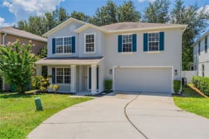 2457 Martins Run, TAVARES