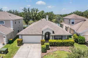 3109 SUNWATCH DRIVE, WESLEY CHAPEL, FL 33544 - MLS#MFRTB8411677