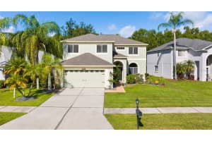 18120 Sandy Pointe Dr, TAMPA