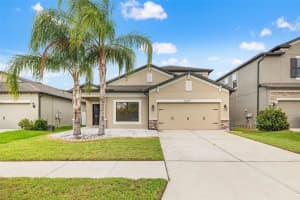 11429 Amapola Bloom Ct, RIVERVIEW