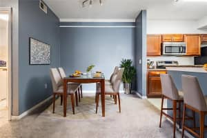 17101 CARRINGTON PARK DRIVE, TAMPA, FL 33647 - MLS#MFRTB8411715