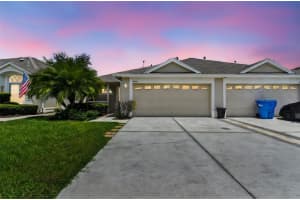 31414 Shaker Cir, WESLEY CHAPEL