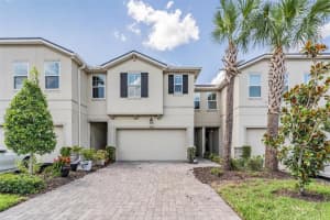 19385 Blue Pond Dr, LUTZ