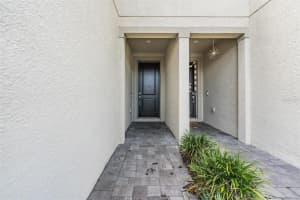 19385 BLUE POND DRIVE, LUTZ, FL 33558 - MLS#MFRTB8411733