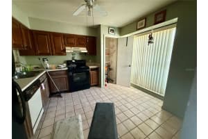 16173 RAMBLING VINE DRIVE, TAMPA, FL 33624 Sold 09/04/25