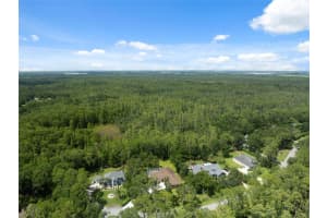 27641 LINCOLN PLACE, WESLEY CHAPEL, FL 33544 - MLS#MFRTB8411758