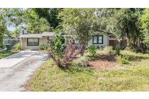 4212 ALENE DRIVE, TAMPA, FL 33617 - MLS#MFRTB8411772