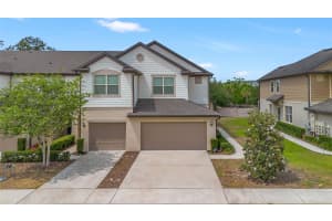1101 PAVIA DRIVE, APOPKA, FL 32703 - MLS#MFRTB8411773
