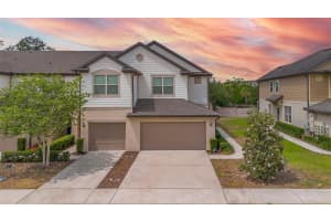 1101 PAVIA DRIVE, APOPKA, FL 32703 - MLS#MFRTB8411773