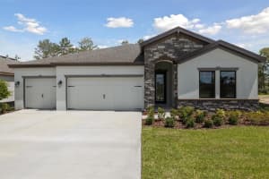 13132 Long Valley Cir, SPRING HILL
