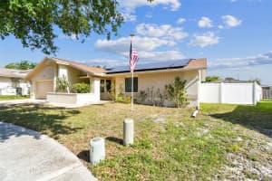 254 TIMBERVIEW DRIVE, SAFETY HARBOR, FL 34695 - MLS#MFRTB8411781
