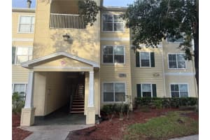 18131 Bridle Bit Ln #n/a, TAMPA