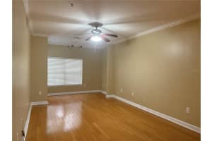 18131 BRIDLE BIT LANE, TAMPA, FL 33647 - MLS#MFRTB8411795