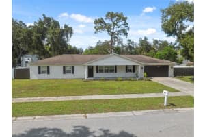 410 LARRIE ELLEN WAY, BRANDON, FL 33510 - MLS#MFRTB8411803