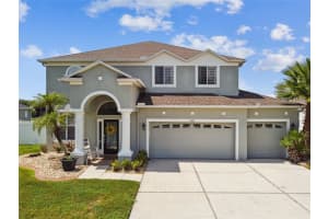 25801 FRITH STREET, LAND O LAKES, FL 34639 - MLS#MFRTB8411855