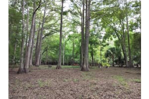 523 TUCK POINT, INVERNESS, FL 34450 - MLS#MFRTB8411869