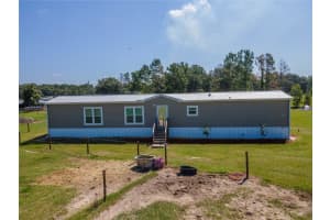 8736 23RD STREET, ZEPHYRHILLS, FL 33540 - MLS#MFRTB8411875